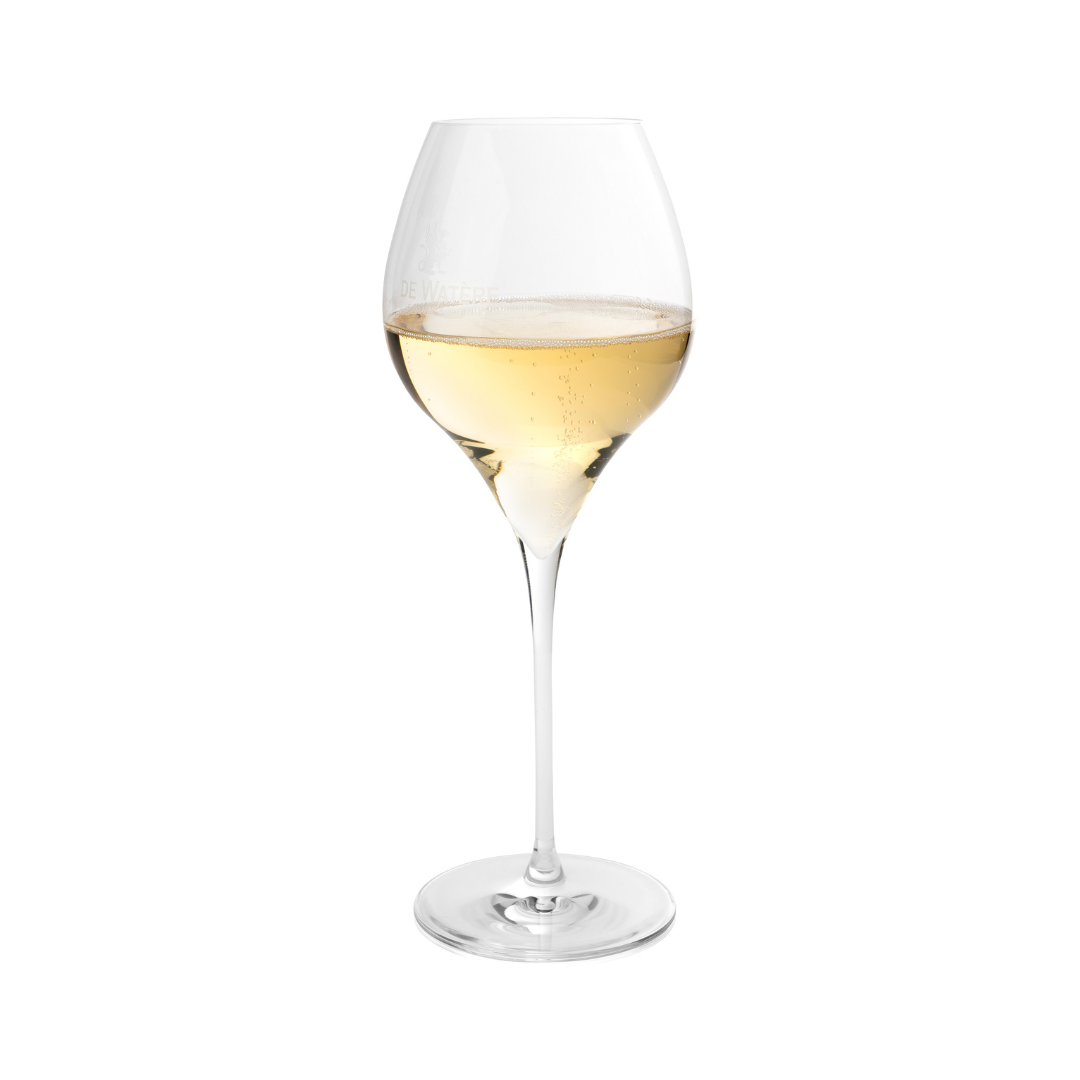 DE WATÈRE Champagne TEN 21 SE - Special Edition - 6 Stück