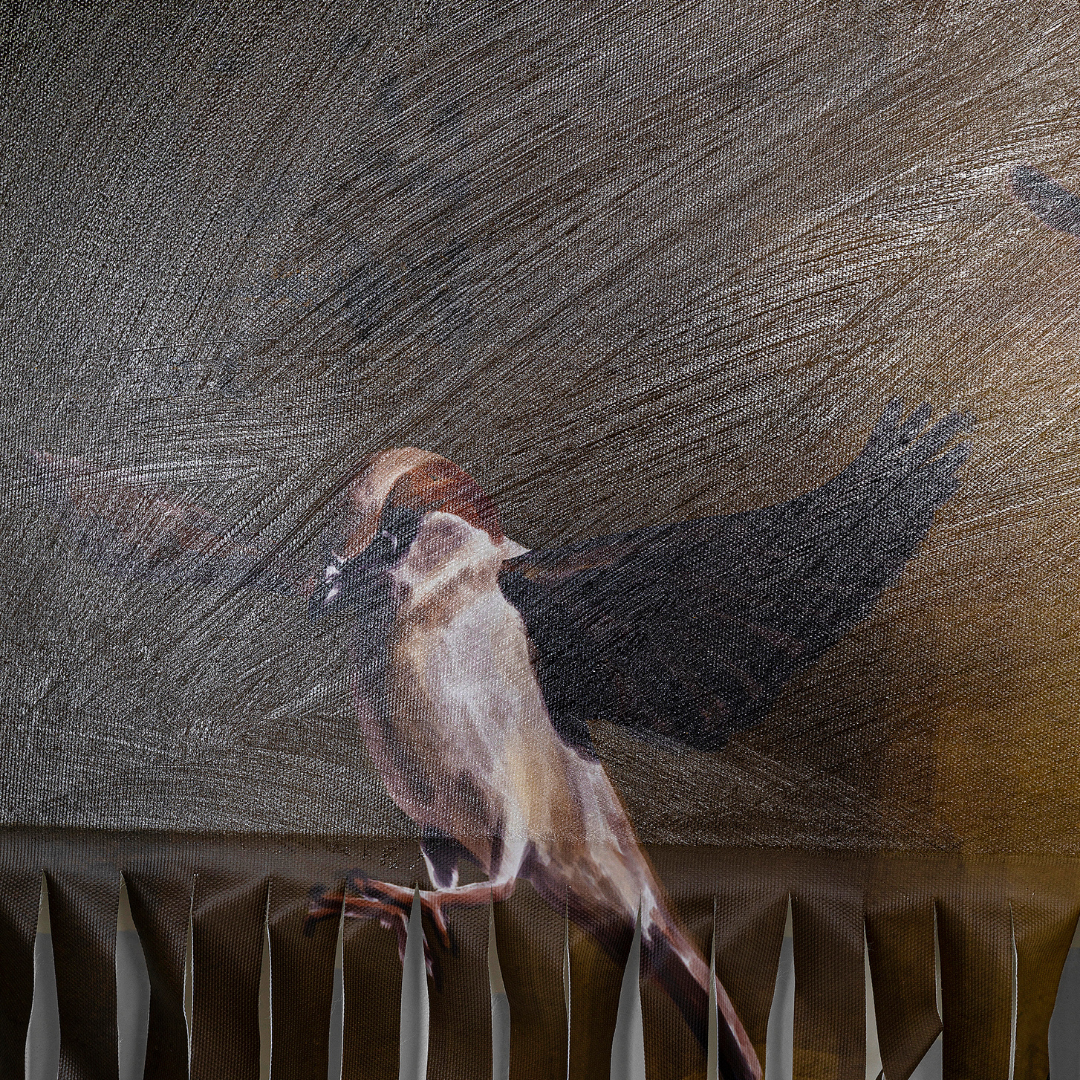 Bild Frame Gentleman Cuts 130x163cm-KARE