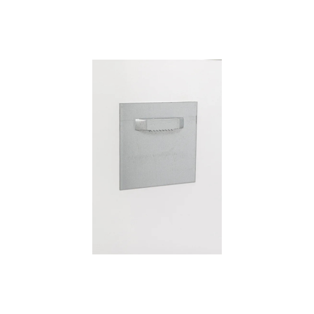 Glasbild Commuter Monkey 60x60cm