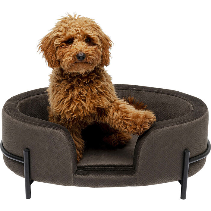 Hund/Katzenbett Dream Day Grau