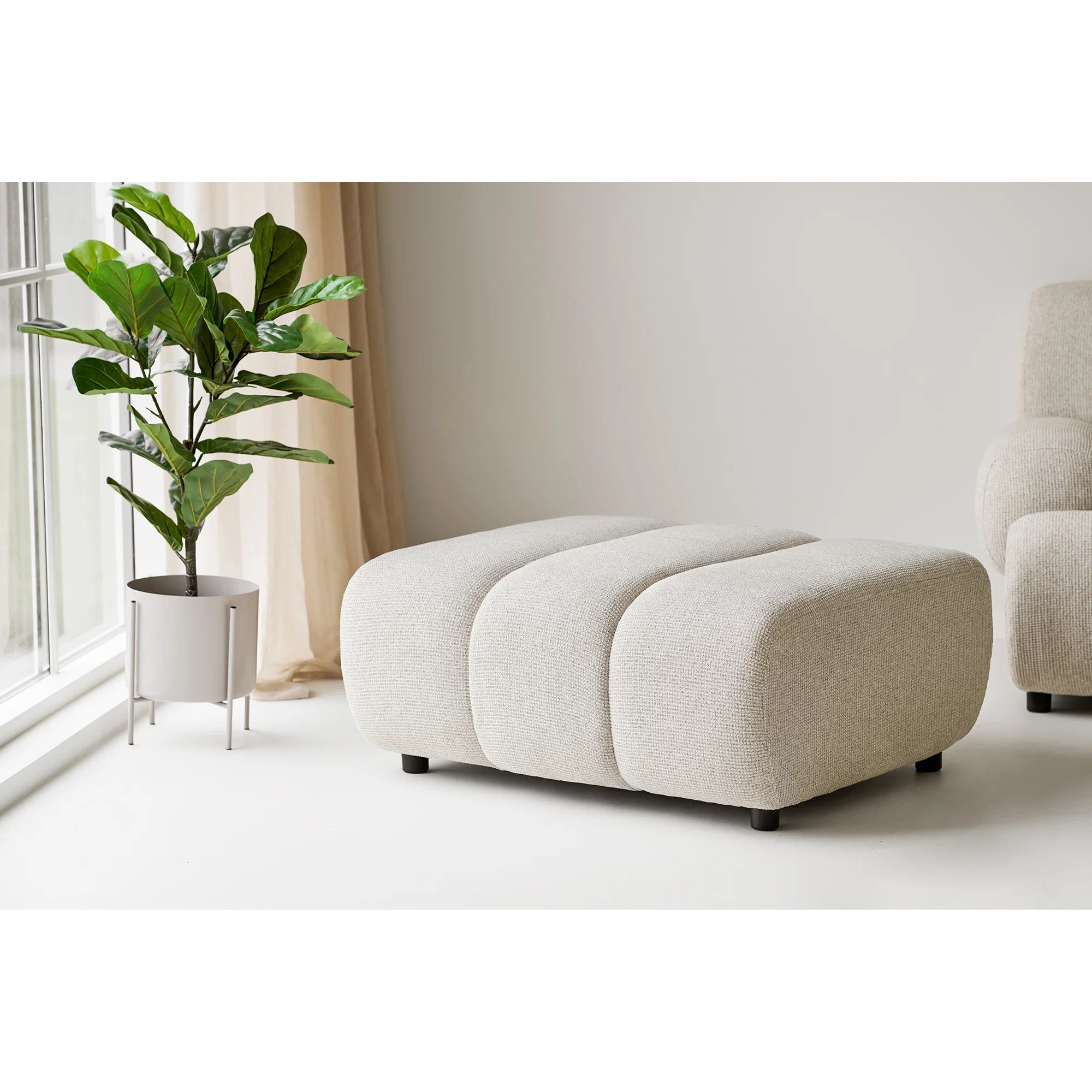 Taza Hocker Module