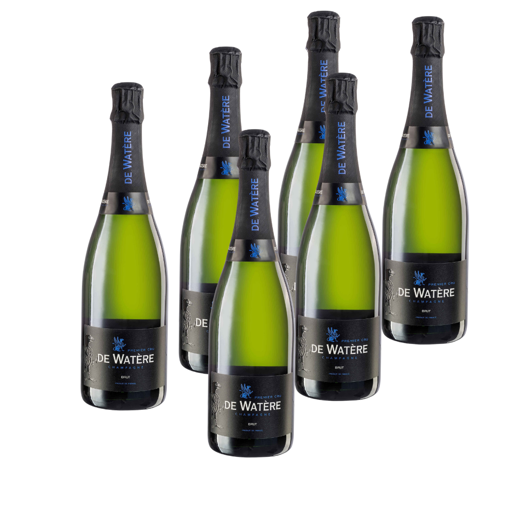 DE WATÈRE Champagne Prestige Brut Blanc 6 x 0,75 l